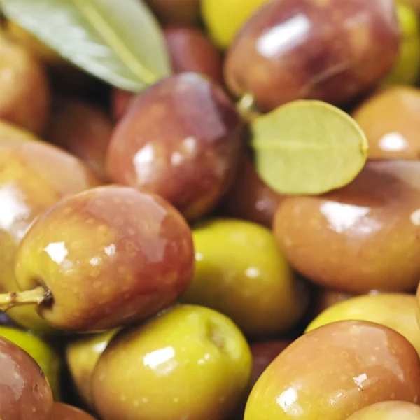 categoria-olive-toscane